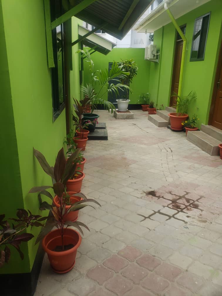 L & J Backpackers BnB